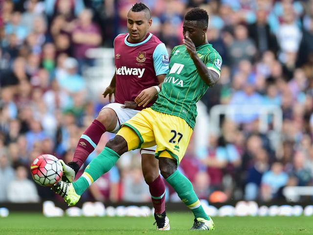 粉色奇迹 粉色奇迹