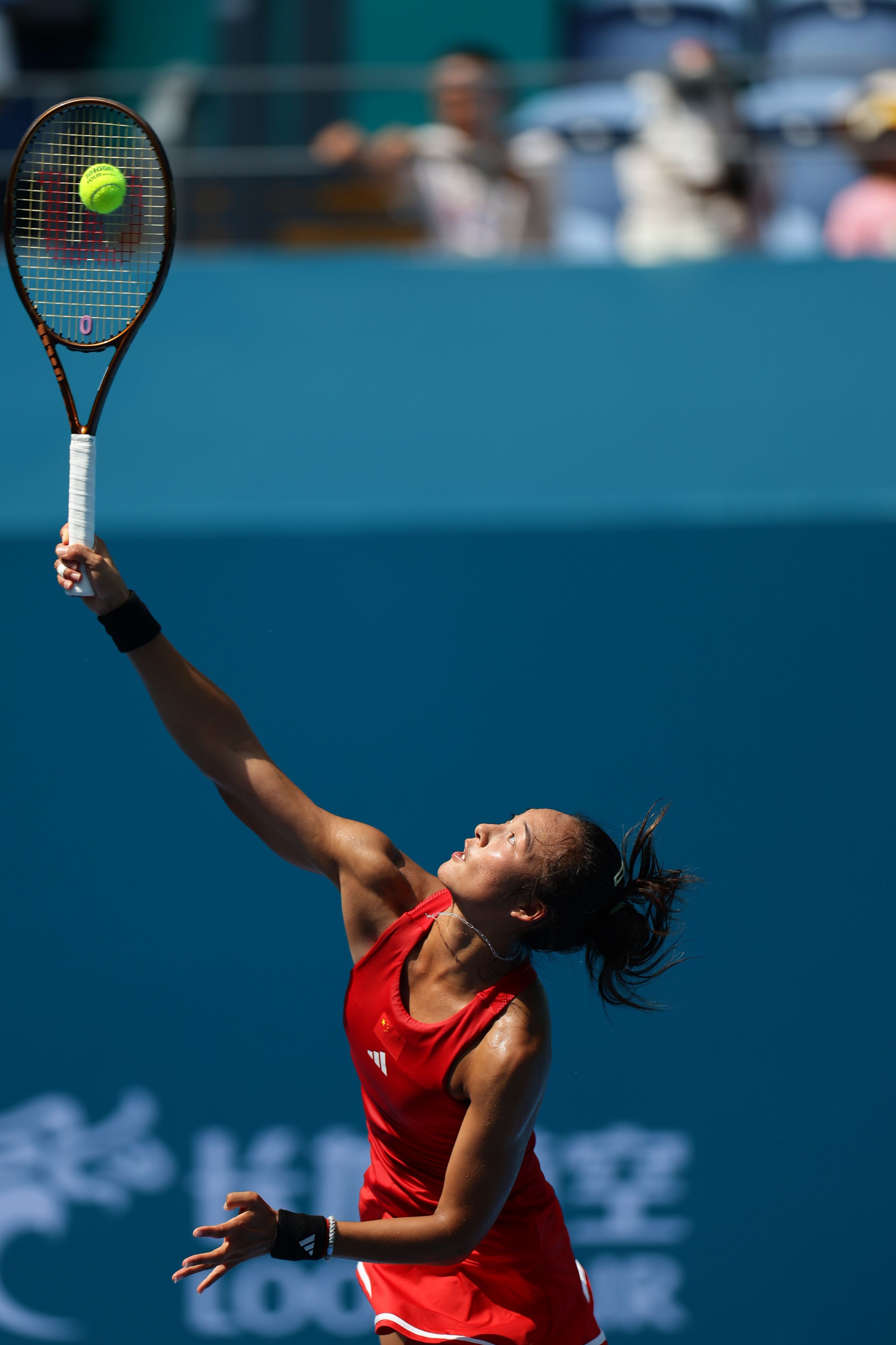 沃克租借加 沃克租借加