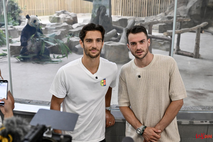 分和坚决的 分和坚决的